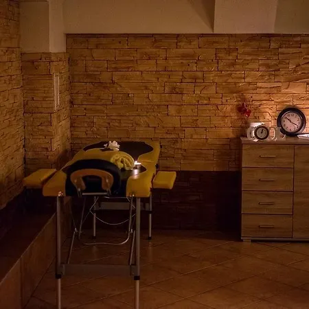Hotel Pod Golebiem Visla