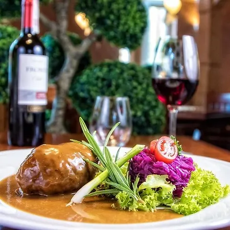 Pod Golebiem Hotell Wisła