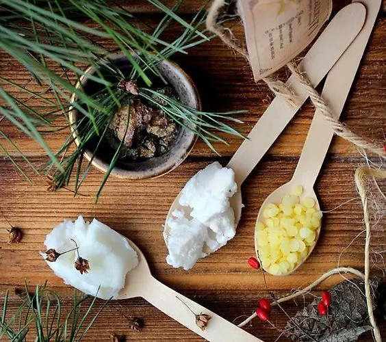 Pod Golebiem ホテル