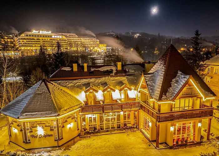 Pod Golebiem Hotel