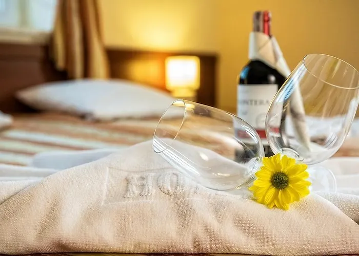 ホテル Pod Golebiem 2*